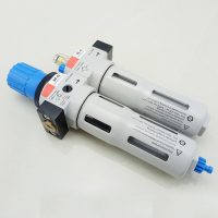 Festo Type-1